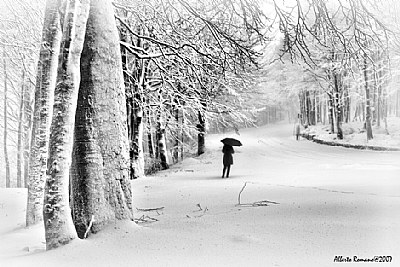 Loneliness