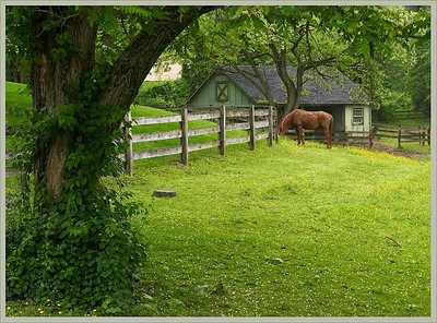 horse's retirement