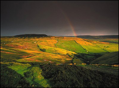 Yorkshire Moors