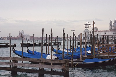 Venice in november 4
