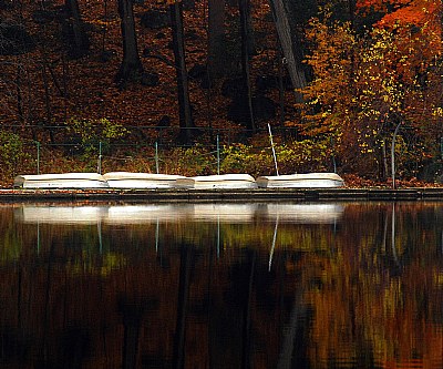 Autumn Quartet