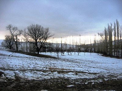 winter