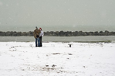 White covered love