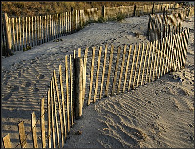 Dune fence 