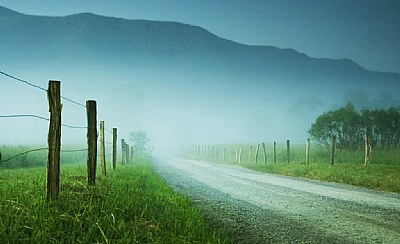 Foggy morning.
