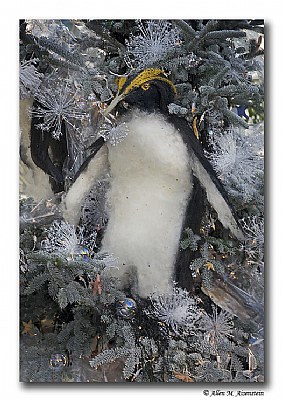 Holiday Penguin (d1897)