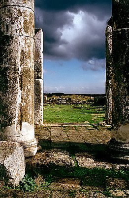 Apamea