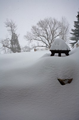 Snow 2