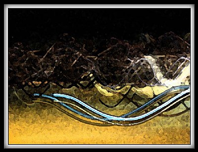Abstract #4