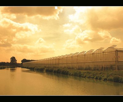 Glasshouses