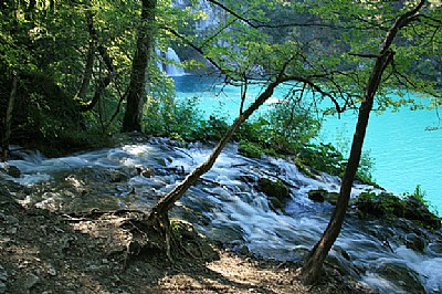Rill Plitivice Lakes II