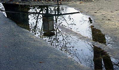 Puddle's reflections