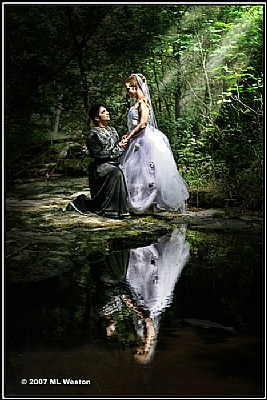 The Proposal