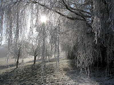 Givre au matin