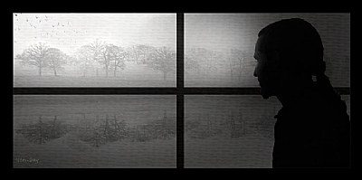 Curtains ! ...