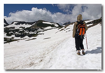 Hidden Lake Trail