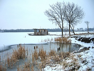 Winter at the Lake II