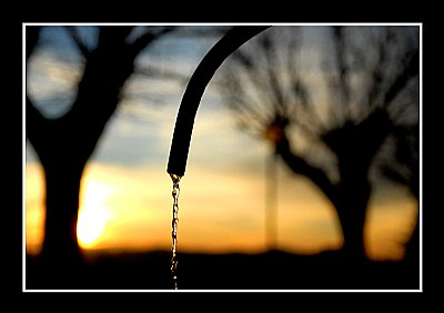 Water in sunset