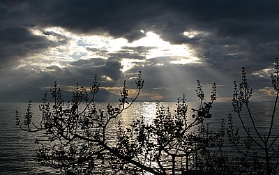 Lac Léman, Pully