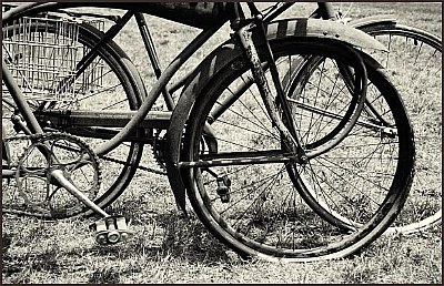   Old Bikes: Goldmine 2006