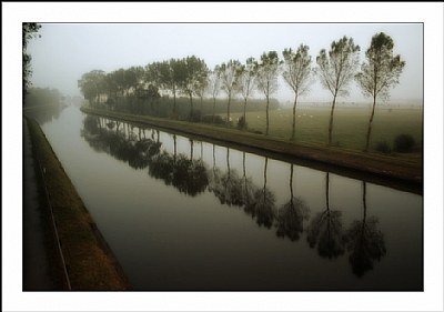 Misty canal