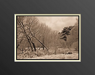 New Year Winter in Sepia