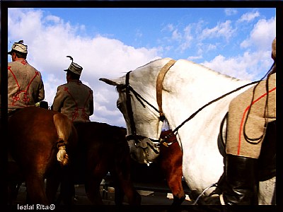 horses...and people