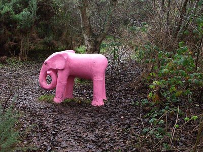 the classic pink elephant