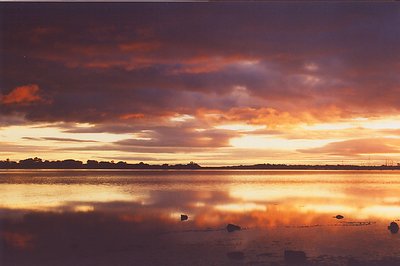 Swan Bay Sunrise