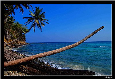 Ross Island - Andaman