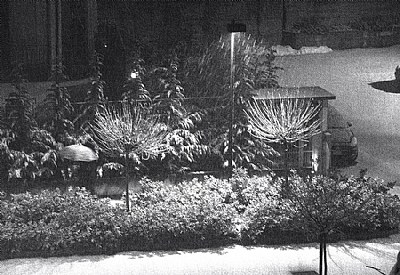 The man under the snow