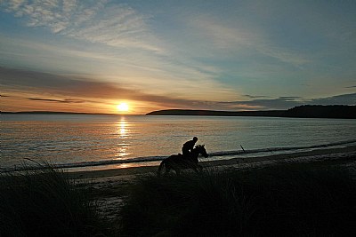 Early morning gallop