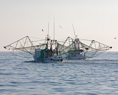 Shrimp Boats in Mobile Bay
