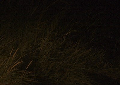 headlightheadlight
