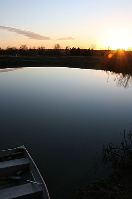 Stock Pond