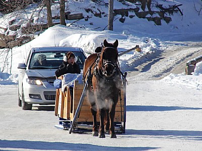 Leader of the pack, maximum 10 km/h