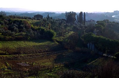 Tuscan Hills in the Late Afternoon