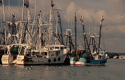 Fishing Boats