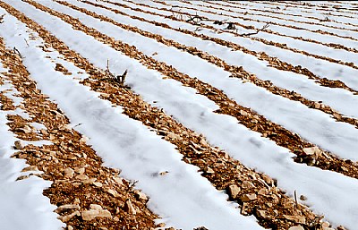 diagonal snow