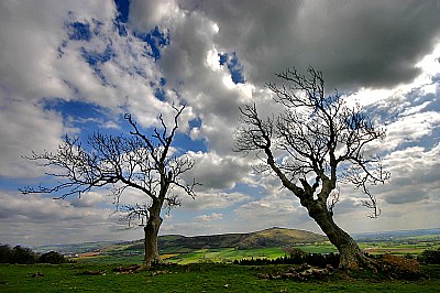 Battered but not beaten