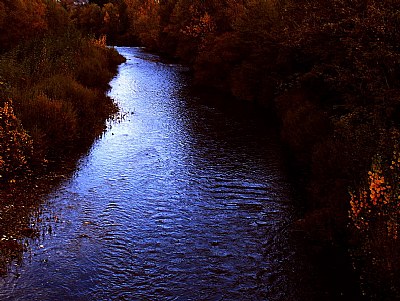 Fiume Arno