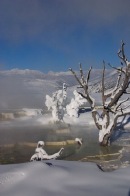 Burning Snow