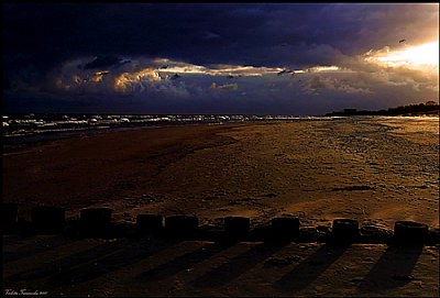 Dawn on the beach