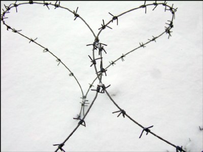 barbed heart