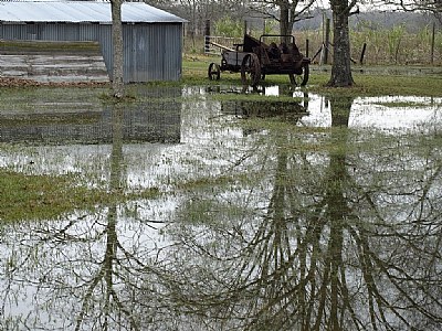 Winter Rains