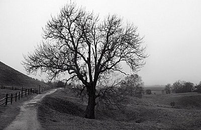 Gamla Uppsala