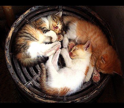 Sleeping Circle