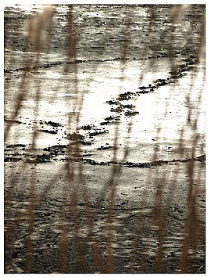 trails in the mud