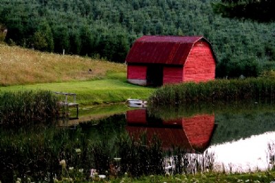 Reflection Red