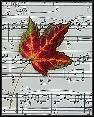 Autumn Serenade